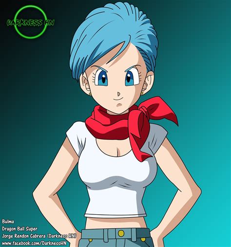 bulma chochox|bulma dragon ball super hero.